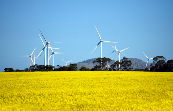 The world is at last generating renewable energy on a major scale