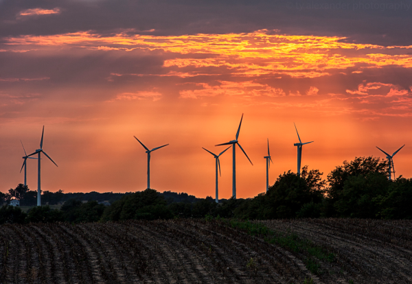 Residents within close range of wind farms to be offered stakes from £5 to cool conflict.