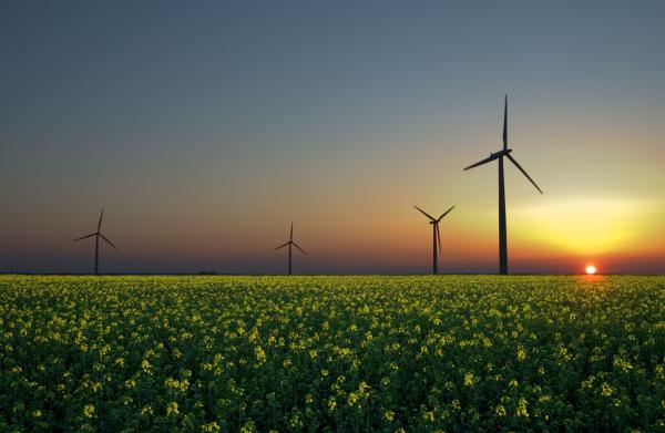 Calls for energy market inquiry